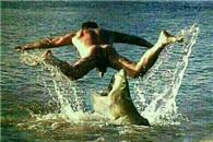 亮了 鲨鱼：我的双汇椰果烤肠 下一秒更精彩!