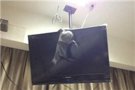 这么大的阵势 一看就是等客人挑选嘛！