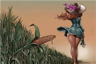 坚决抵制转鸡阴玉米 这尼玛还能吃吗?