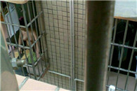 亮瞎 我们小区某业主拍到的邻居切菜 谁家的媳妇儿真是贤惠啊