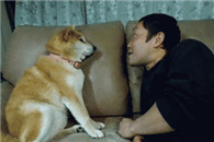 gif搞笑图片大全:宁娶娼妓从良 不要红杏出墙！