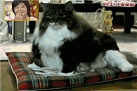 不要背着别人干坏事中国有句话叫苍天有眼。