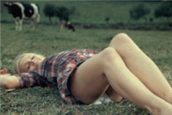 小婊砸你赶紧我给我下来我保证不会打死你!