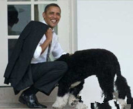 邪恶内涵图：生命之源生命的源泉！