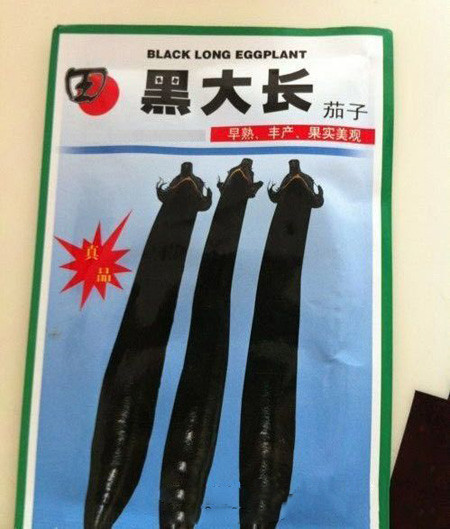 茄子 黑 大 长 早熟 丰产 果实美观。.jpg
