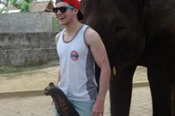 大象 大象 你的鼻子为什么那么长。