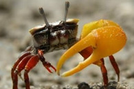 邪恶内涵图片：单身三年后成了左撇子!