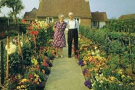 人生照一种淡淡的忧伤在心头！