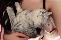 妹子说要把她的咪咪掏给我看看，嘿嘿嘿真好看