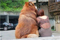 内涵图片：相依相伴 性福一生。