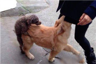 一股熟悉的味道 情不自禁的被你吸引