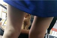 发现一个偷窥狂 紧插叔叔快抓住他！