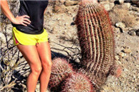 内涵图片：妹子发现了一棵仙人掌 但是中看不中用啊!