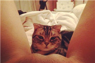 亮瞎眼的淘宝好评：已经好评上图 亲记得返现哦!