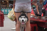 邪恶图片：喵星人找到个睡觉的好地方!