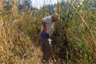 邪恶动态图：我检查一下你的腿好彻底没有?