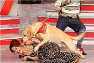 屌爆了 今天我射了校长一脸 感觉这背子毁了!