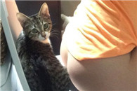 无节操图片：大哥我的手也很冷 借给我暖暖手行吗?