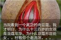 为什么用豆蔻来形容十三四岁的女孩?杜牧内涵啊!