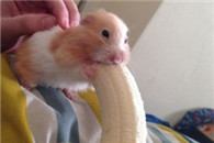 邪恶内涵图：看懂了 请赞一个!