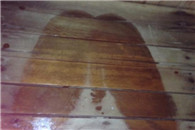 内涵图：从图片上你看到了什么?