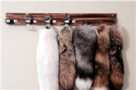 内涵图：朋友家装修摆设太有特色了 感觉好文艺啊