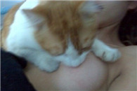 妈的做人哈不如一直喵，真想去死了