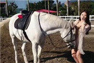 从第二张图和第二张图中马儿的表情好像明白了什么