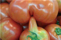 社会百态低俗图片:你们有没有想跳上去的冲动?