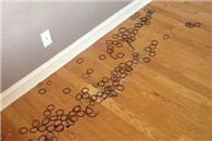 邪恶内涵图这个位置是之前放床的地方！