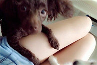 别看屌丝男 美女大腿我俩抱了!