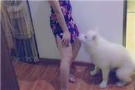 动物图片：突然问道一股熟悉的咸鱼味好像吃。