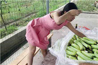 泷泽萝拉第三部内涵图：楼上的注意节操啊你们还有没有人性啊！