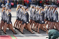 种子内涵图：苦练20年终于可以亲眼看到是什么样子了！