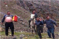 内涵图片：这是哪个版本的西游记我怎么没看到放过?