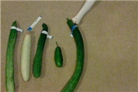 女铲屎的经常用的这根又长又翘是的就是这根！