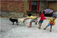 骚年你这包包真是绝配不过没品位总比没女友强对吧!