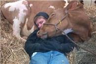 没车顶的敞篷车有什么鸟不起我这连门都没有。