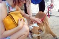 qq天空网邪恶gif：小汪突然闻到一股熟悉的咸鱼味好香啊!