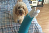 内涵图：女人想要站着尿尿大概就是这个样子了！