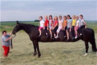 搞笑图：铲屎的还不快去给朕买只母猫回来?!