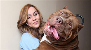 亮点图：姑娘不能再喝了底下都胀破了漏水了!