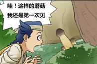 邪恶漫画：奇怪的蘑菇 沾过蜜汁的蘑菇肯定更香