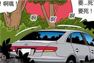 邪恶内涵漫画：醉熏愤怒