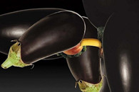 邪恶图片：水果蔬菜也特么的邪恶！