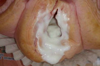 邪恶图片：我擦 这樱花面包太特么邪恶了!