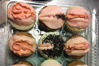 邪恶图片：吃点宵夜吧 你喜欢那个?