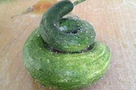 小黄瓜逆天了 你是 狗屎呢 还是狗屎呢！