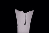 邪恶帮网友看懂了 默默赞 默默顶