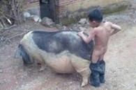 现在的小朋友真是经不起诱惑!这头母猪也是的 一点都不自爱